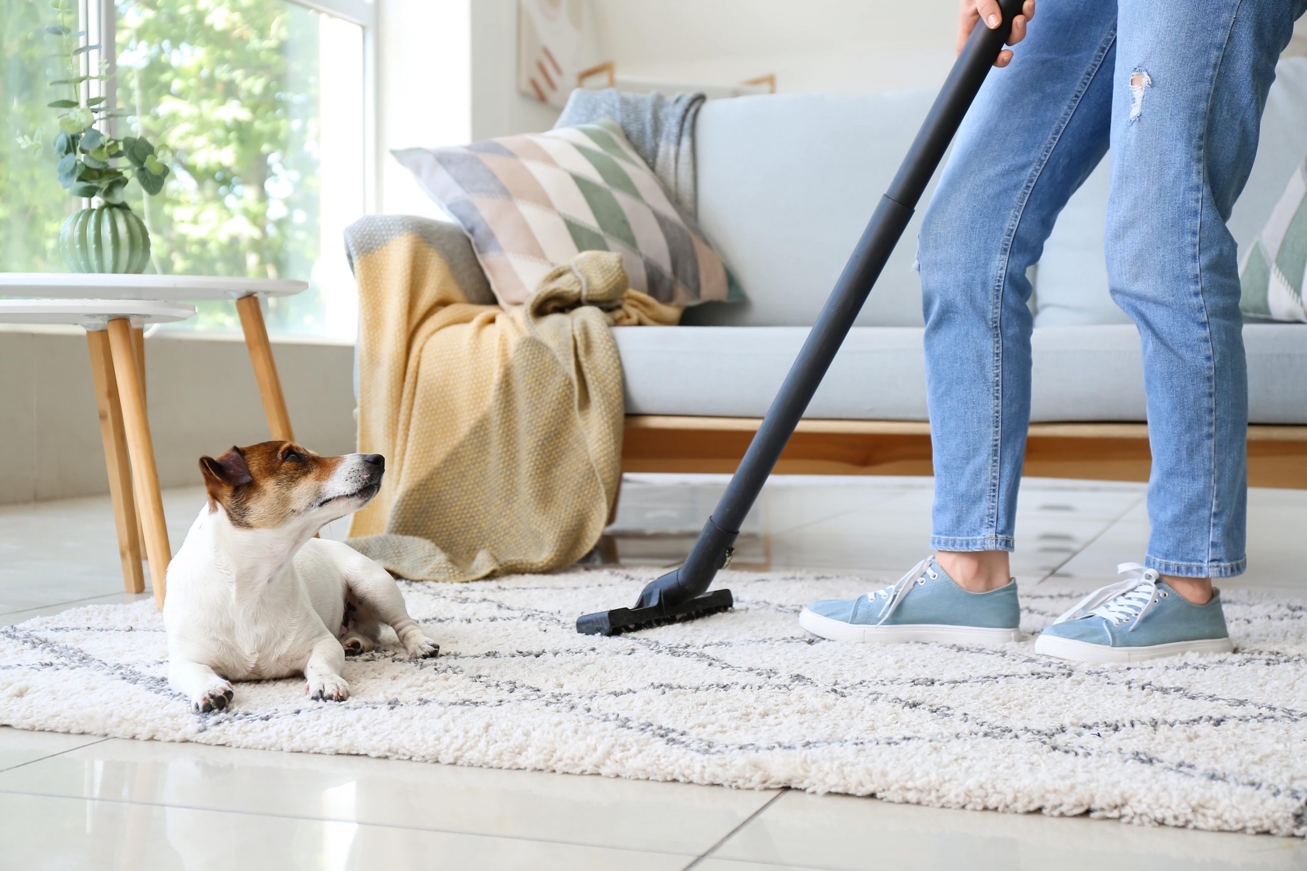 how to get the smell out of Moroccan rug
